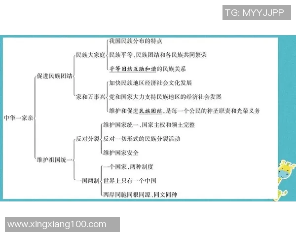以法治为核心推动社会和谐发展的路径与实践探索