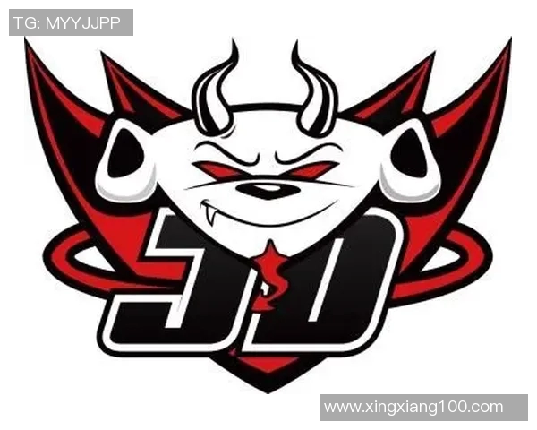青年赛特别报道：JDG战队的拼搏历程与荣耀时刻回顾