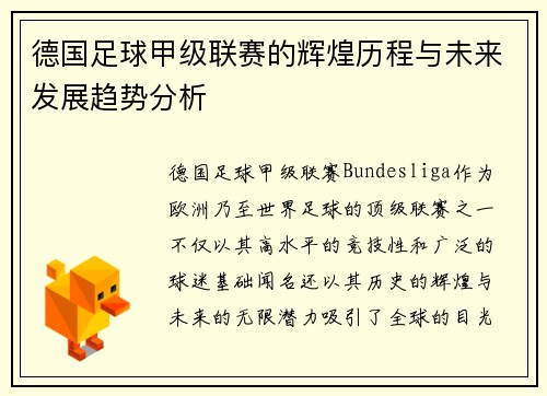 德国足球甲级联赛的辉煌历程与未来发展趋势分析